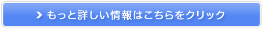 ɓ̐VfuZxf(A~pE`)v̔TCg